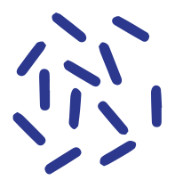 Dust and Molds Particles